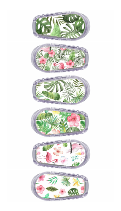 Pack Of 6 - Dexcom G6