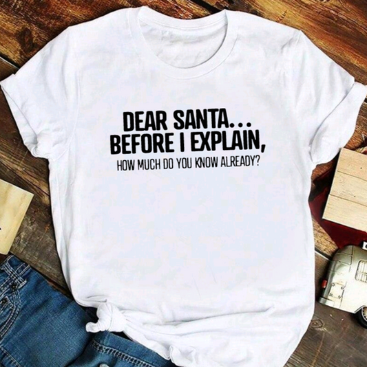 Dear Santa... Before I Explain, How Much Do You Know Already? T Shirt