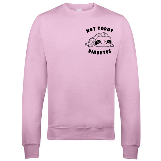 Not Today (Sloth) Sweatshirt