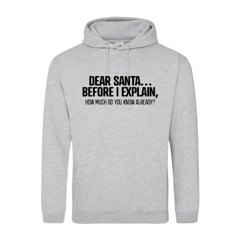 Dear Santa... Before I Explain, How Much Do You Know Already? Hoodie