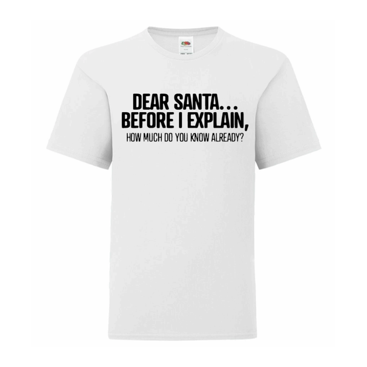 Dear Santa... Before I Explain, How Much Do You Know Already? T Shirt