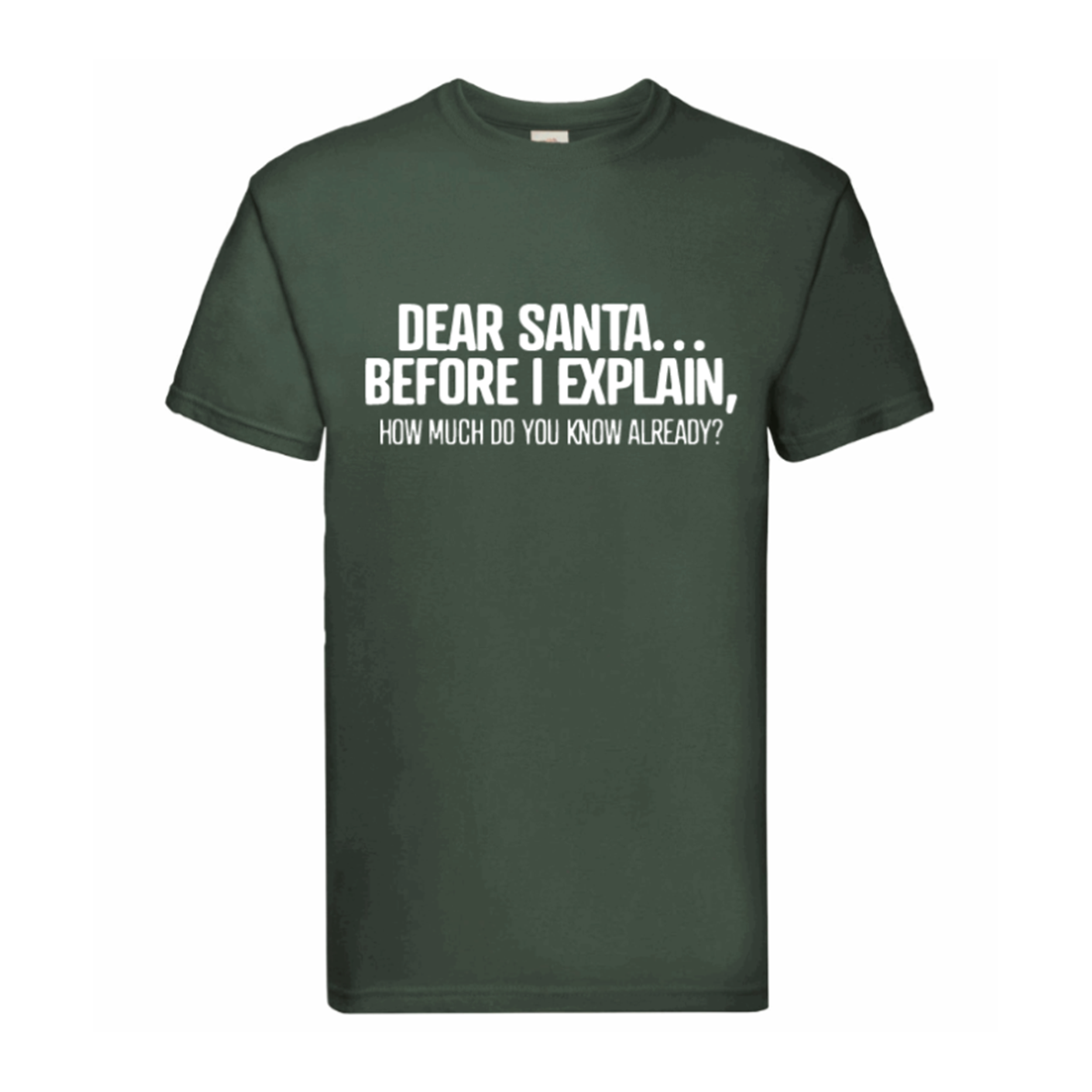 Dear Santa... Before I Explain, How Much Do You Know Already? T Shirt