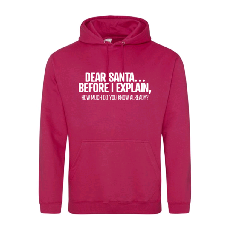 Dear Santa... Before I Explain, How Much Do You Know Already? Hoodie