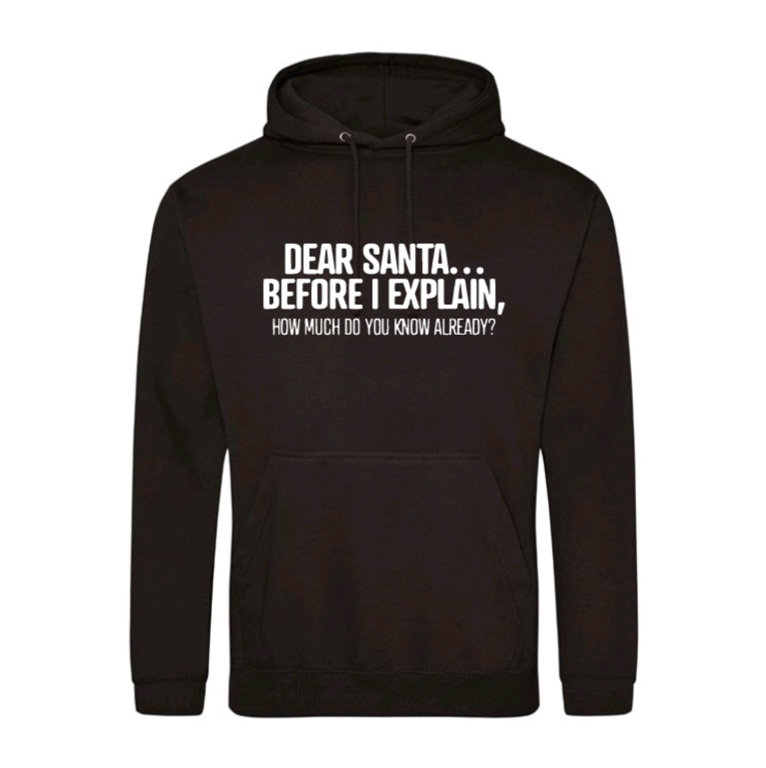 Dear Santa... Before I Explain, How Much Do You Know Already? Hoodie