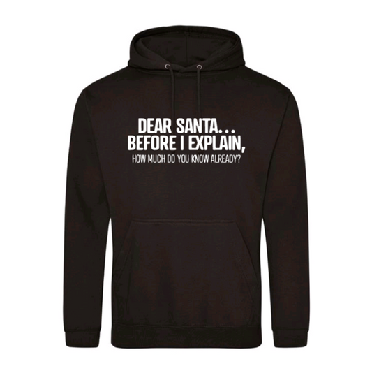 Dear Santa... Before I Explain, How Much Do You Know Already? Hoodie