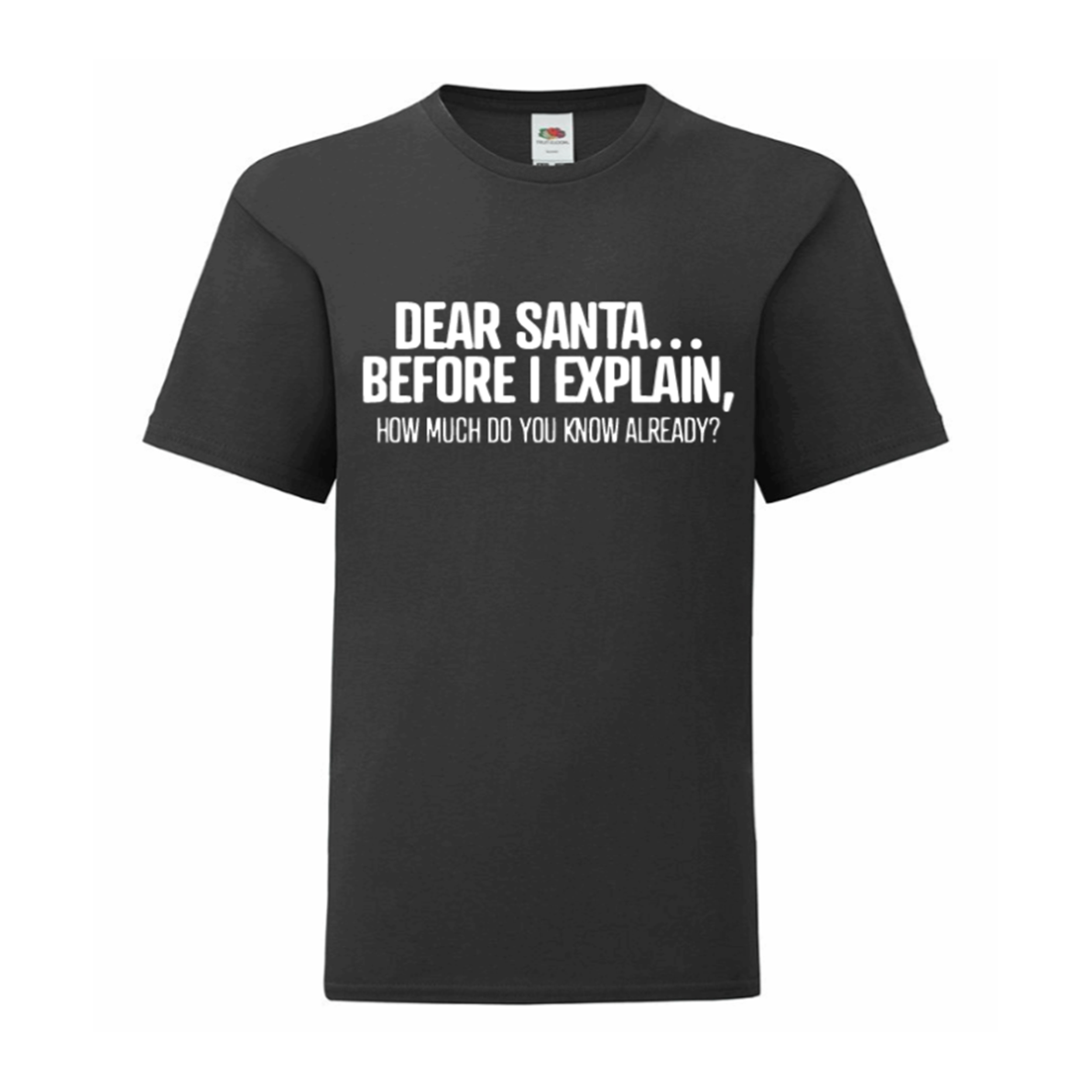 Dear Santa... Before I Explain, How Much Do You Know Already? T Shirt