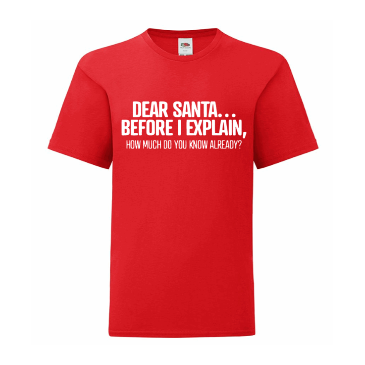 Dear Santa... Before I Explain, How Much Do You Know Already? T Shirt